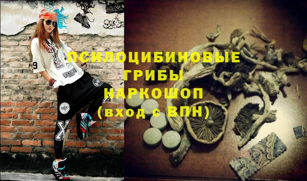 трава Богданович