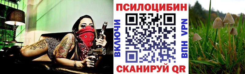 Галлюциногенные грибы ЛСД Купино