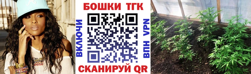 Бошки Шишки планчик  Купино 